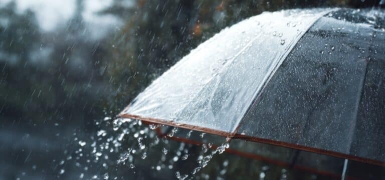 Wechselhaftes Wetter in Nordwestmecklenburg und in der Hansestadt