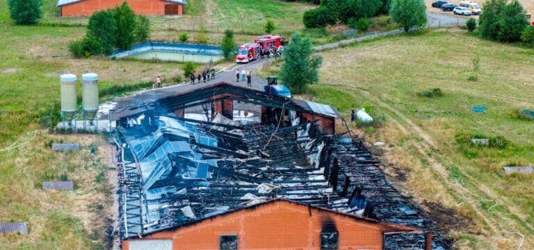 Ermittlungen nach Feuer in Stallanlage dauern an