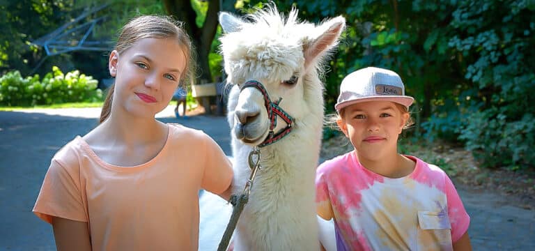 Eintritt frei für Kinder beim Zootag – Eröffnung in Wismar