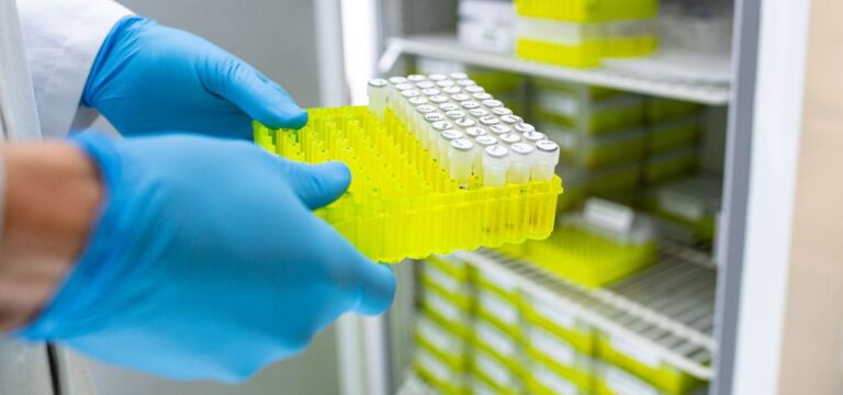 Zahl der Ehec-Infektionen in MV gestiegen