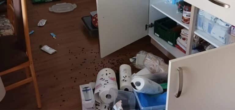 Tageseinnahmen gestohlen: Einbruch in die Wismarer Tafel