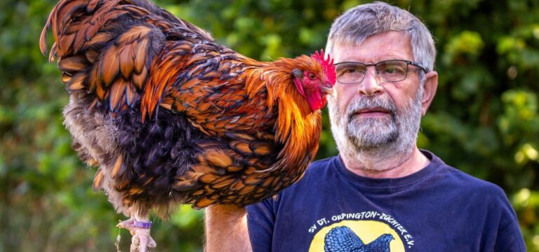 „Würfelhuhn“ wird MeLa-Star bei der Fachmesse in Mühlengeez