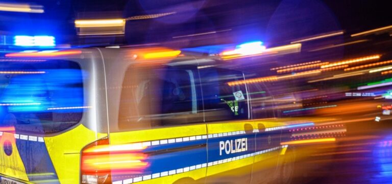 Polizei stellt minderjährige Fahrzeugdiebe (11, 14) in Rostock
