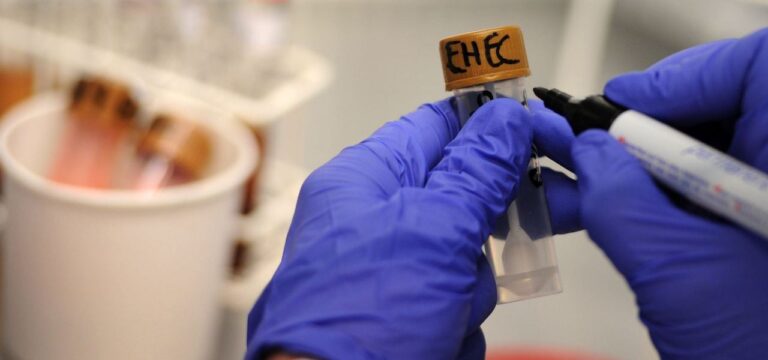 Erneut zweistelliger Zuwachs bei Ehec-Neuinfektion in MV