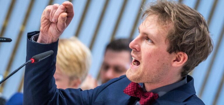 Zoff bei Grünen im Landtag: Fraktionsvize Damm vor Ablösung