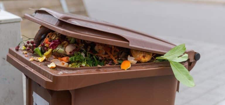Gegen Plastik im Biomüll: Kommunen kontrollieren ab Montag Tonnen in Norddeutschland