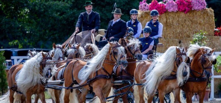 4.500 Besucher bei Redefiner Pferdetagen