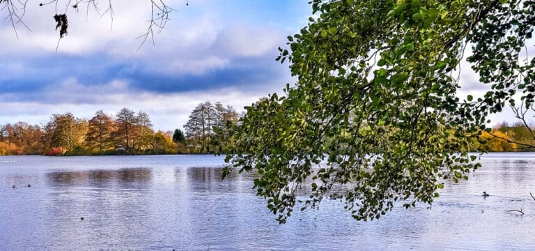 Projektwoche: „Natur & Kreativität erleben“ im Ökologischen Schulort Wismar