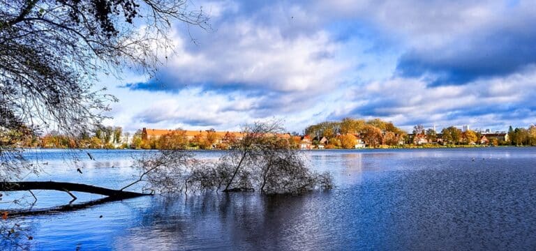 Bürgerschaft: Bündnis 90/Die Grünen fordern Ertüchtigung des Stegs am Mühlenteich