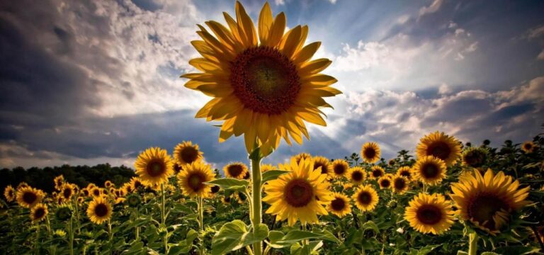 Spätsommerliches Aufatmen an der Küste: Angenehmes Wetter in Wismar und Nordwestmecklenburg
