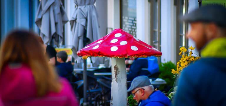 Herbstfest in Wismar 2025: Ein besonderes Event für die ganze Familie