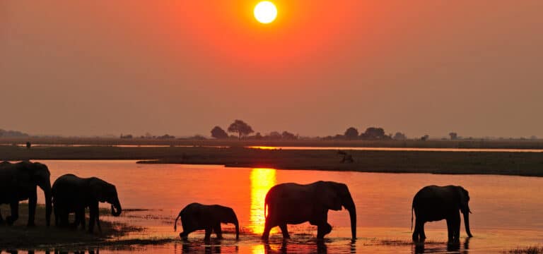 Ein Abenteuer am Weltspartag: Die Wildnis Afrikas entdecken – Multivision mit Thomas Sbampato