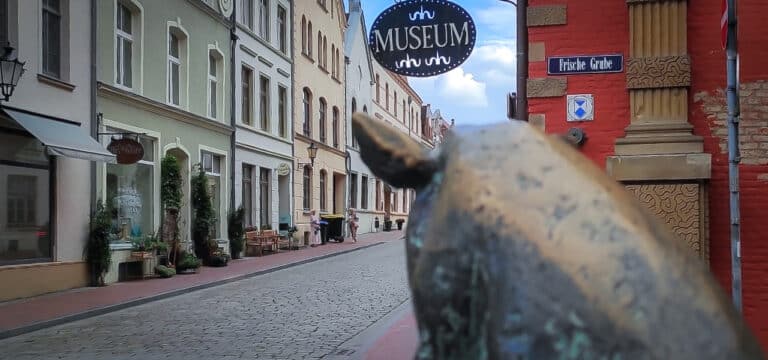 Kuratorenführung im SCHABBELL: Herzog Johann Albrecht I. im Fokus