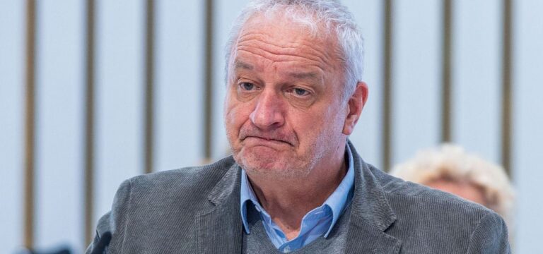 Grüne im Landtag setzen nach Damm-Abwahl auf Terpe als Vize