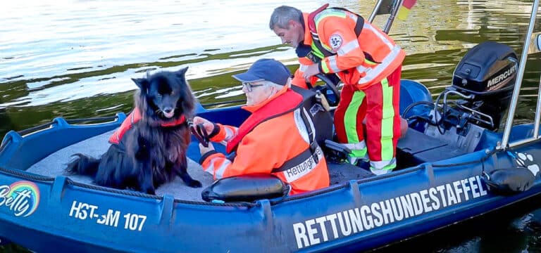 Spürhunde schlagen bei Suche nach vermisstem Kind auf See an