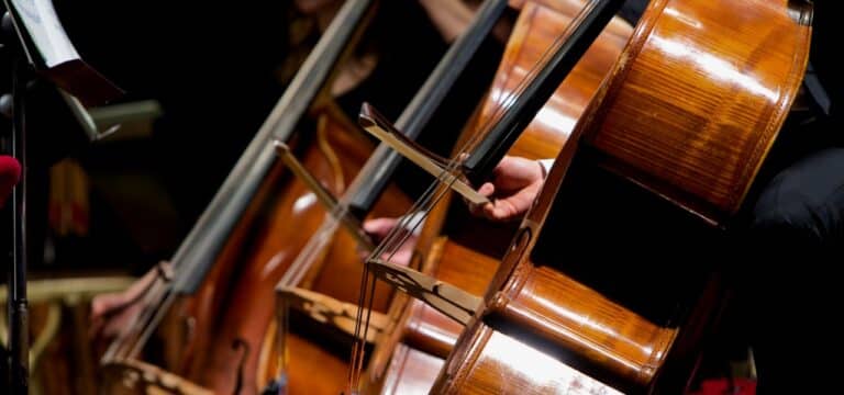 Kunst, Kultur und Familienerlebnisse in Wismar und Nordwestmecklenburg