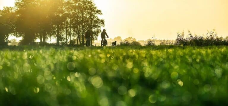 Wetterbilanz: Herbst brachte MV viel Sonne