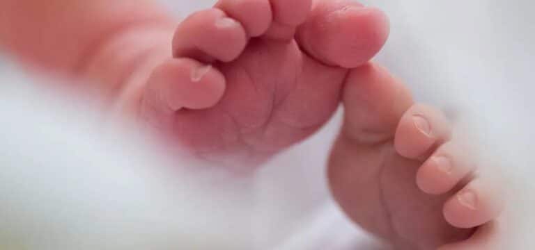 Neue Eltern gleich nach der Geburt – Adoptionen in Mecklenburg-Vorpommern