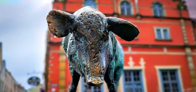 Vielfältiges Programm zum Internationalen Museumstag im SCHABBELL