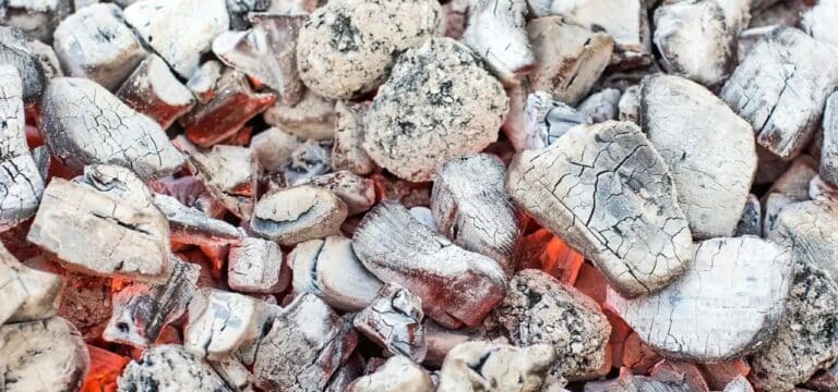 Grill in Gartenlaube: Neun Menschen mit Rauchvergiftung