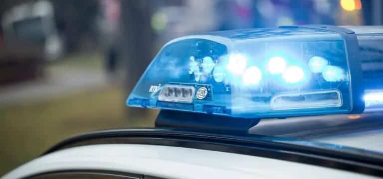 57‑Jährige bei Streit zwischen Hundehalterinnen verletzt