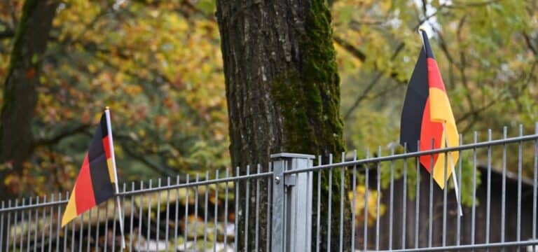 #HissDieFlagge: Rechte Social‑Media‑Kampagne erreicht Mecklenburg‑Vorpommern