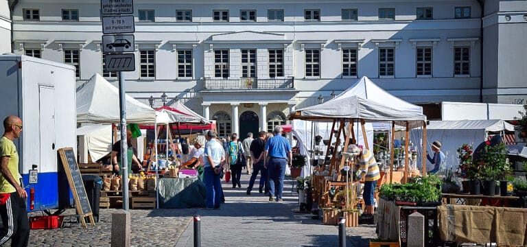 Markt der Kulturen erweitert den Wochenmarkt am Samstag zu einem Ort gelebter Vielfalt