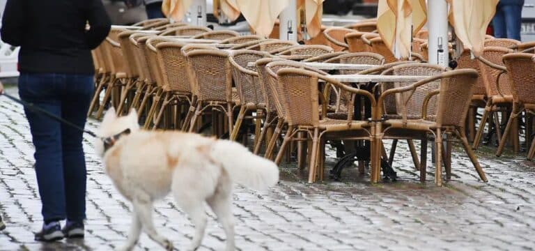 Stagnierende Umsätze im Gastgewerbe – Weniger Beschäftigte