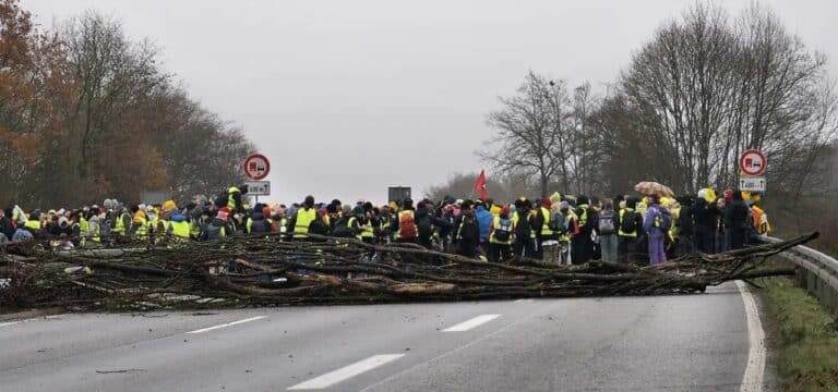 AfD-Jugendverband in MV gegründet – 120 Mitglieder