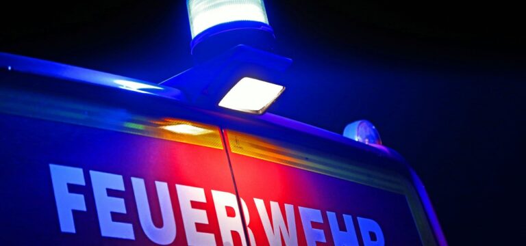 Nächtlicher Brand in Kleingartenanlage „Am Klingenberg“