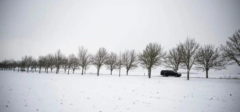 Kein Schulbusverkehr am Freitag in zwei Landkreisen