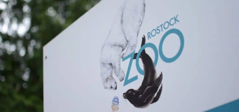 Rostocker Zoo bleibt wegen des Wetters zu