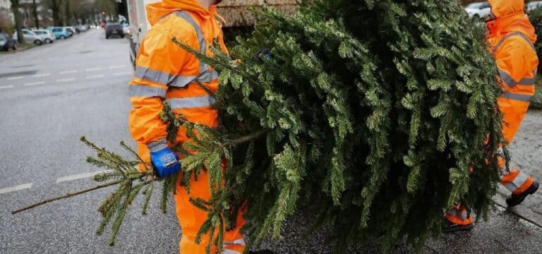 Weihnachtsbaum‑Einsammlung in Wismar gestartet: EVB ruft zu korrekter Entsorgung auf