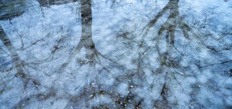 Überflutete Straßen und vollgelaufene Keller in MV