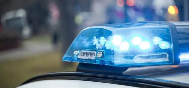 Hund durch mutmaßlichen Giftköder schwer verletzt