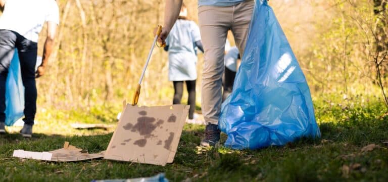 Landesweite Aufräumaktionen starten: „Zusammen bewegen macht klar Schiff“