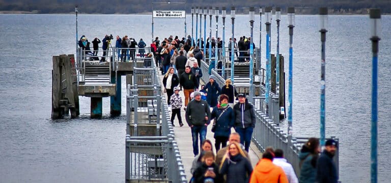 Große Sorge in Wendorf: Wismar blickt auf den Buckelwal in der Bucht