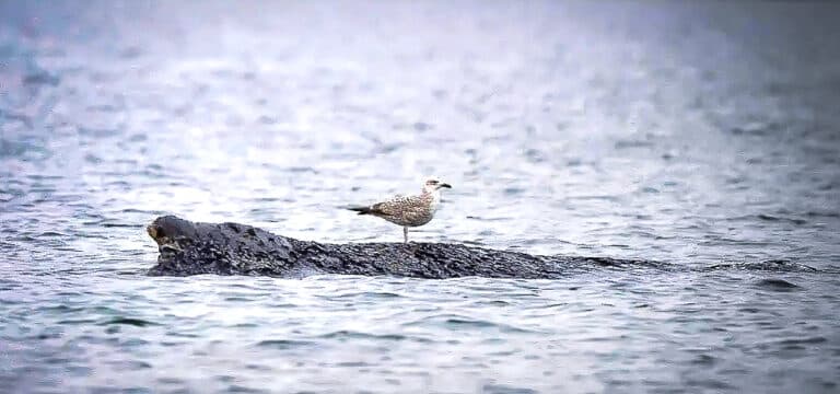 Backhaus weist Vorwürfe zurück: „Wir haben niemanden ausgeschlossen“