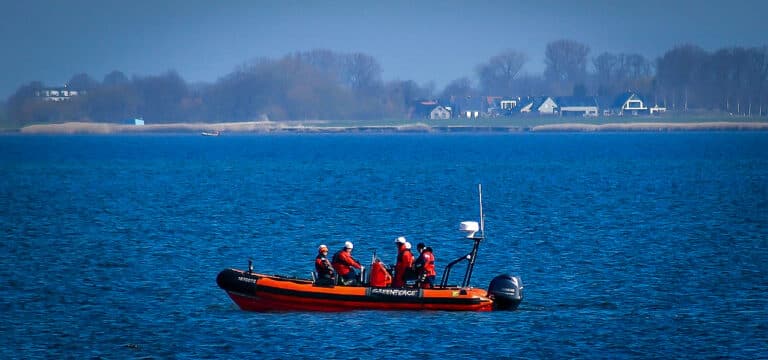 Doch nicht weg: Buckelwal wieder in der Wismarbucht gesehen