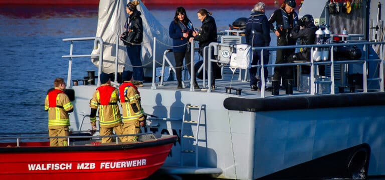 Wal im Wismarer Hafen: Feuerwehr befreit verirrtes Tier aus großem Netz
