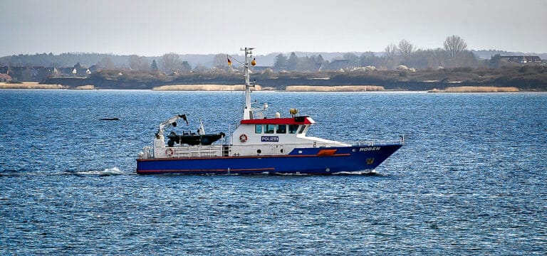 Pressekonferenz bestätigt kritischen Zustand des Wals – möglicher Rettungsversuch am Nachmittag