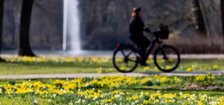 Volles Programm in Wismar: Frühling, Musik, Sport und Kultur am Samstag