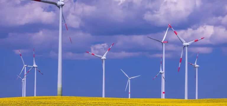 Neue Entschädigungen günstiger für Windkraft-Erzeuger