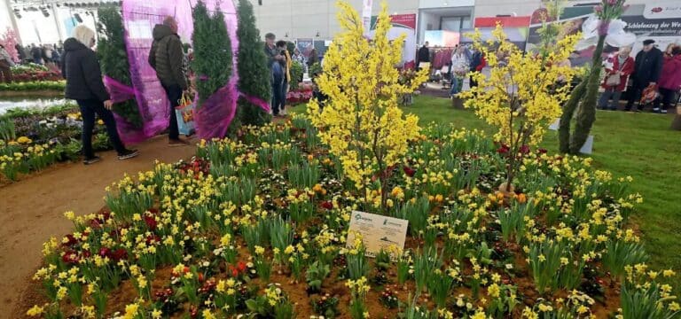 34. Ostseemesse eröffnet – Besucherandrang an Tag eins