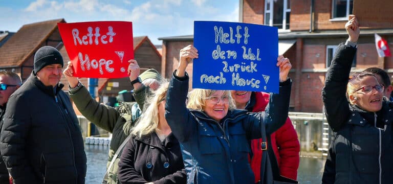 Warum der Fall „Timmy“ eskaliert: Zwischen Mitgefühl, Moral und digitaler Empörung