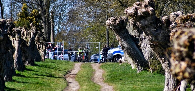 Buckelwal vor Poel: Zustand weiterhin kritisch – keine neuen Vorkommnisse in der Nacht