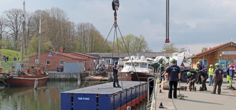 Rettungsversuch für Buckelwal geht weiter – Vorbereitungen laufen seit dem frühen Morgen