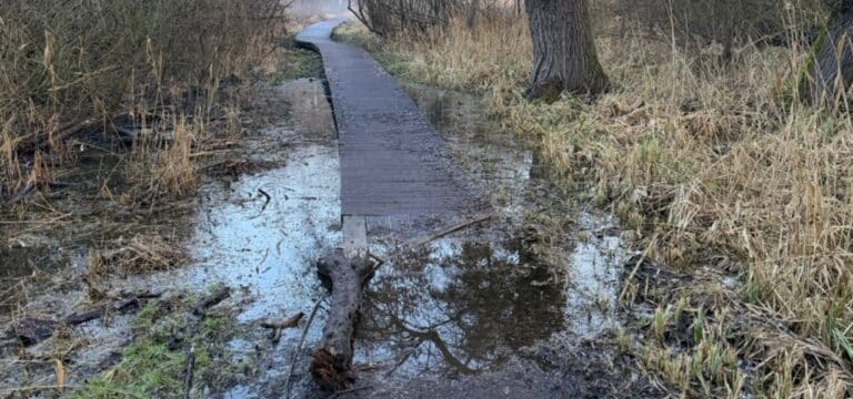 Steg am Mühlenteich: Ausschuss lässt Prüfung möglicher Ertüchtigung vorbereiten