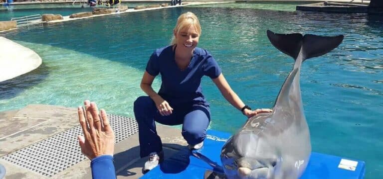 Tierärztin aus Hawaii verlässt wütend das Team – Rettungsaktion für Timmy erneut erschüttert