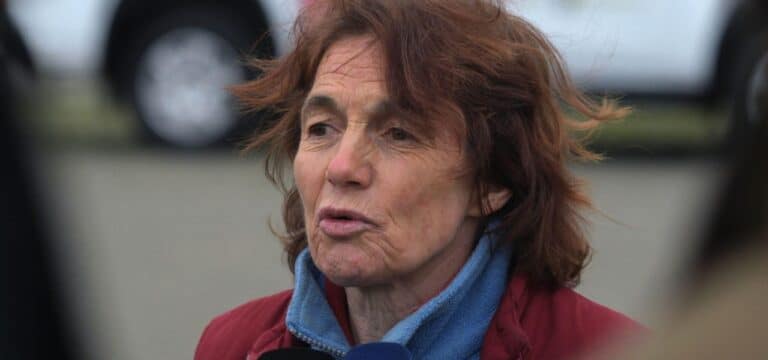 „Nicht außer Lebensgefahr“: An Walrettung beteiligte Tierärztin liegt wohl im Koma